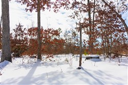 property photo for Sleepy Hollow Phase I Tract 4, 5.4 acres for sale in Texas County, Missouri