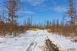 property photo for Sleepy Hollow Phase I Tract 4, 5.4 acres for sale in Texas County, Missouri
