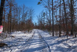 property photo for Sleepy Hollow Phase I Tract 43, 7.02 acres for sale in Texas County, Missouri