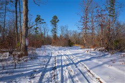 property photo for Sleepy Hollow Phase I Tract 43, 7.02 acres for sale in Texas County, Missouri