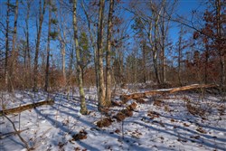 property photo for Sleepy Hollow Phase I Tract 43, 7.02 acres for sale in Texas County, Missouri