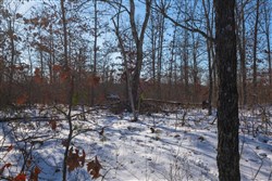 property photo for Sleepy Hollow Phase I Tract 43, 7.02 acres for sale in Texas County, Missouri