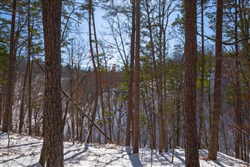 property photo for Sleepy Hollow Phase I Tract 45, 4.81 acres for sale in Texas County, Missouri