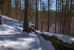 property photo for Sleepy Hollow Phase I Tract 45, 4.81 acres for sale in Texas County, Missouri