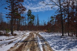 property photo for Sleepy Hollow Phase I Tract 57, 8.08 acres for sale in Texas County, Missouri