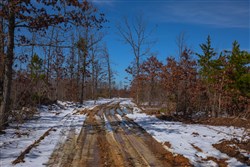 property photo for Sleepy Hollow Phase I Tract 57, 8.08 acres for sale in Texas County, Missouri