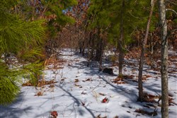 property photo for Sleepy Hollow Phase I Tract 57, 8.08 acres for sale in Texas County, Missouri