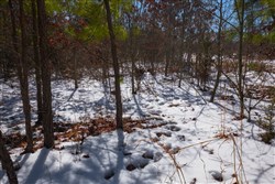 property photo for Sleepy Hollow Phase I Tract 57, 8.08 acres for sale in Texas County, Missouri