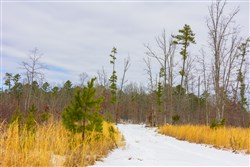 property photo for Sleepy Hollow Phase I Tract 7, 4.71 acres for sale in Texas County, Missouri