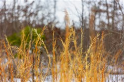 property photo for Sleepy Hollow Phase I Tract 7, 4.71 acres for sale in Texas County, Missouri
