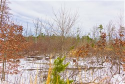 property photo for Sleepy Hollow Phase I Tract 7, 4.71 acres for sale in Texas County, Missouri