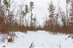 property photo for Sleepy Hollow Phase I Tract 9, 5.52 acres for sale in Texas County, Missouri