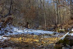 property photo for Sleepy Hollow Phase I Tract 9, 5.52 acres for sale in Texas County, Missouri