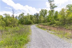 property photo for Sleepy Hollow Phase II Tract 103, 8.13 acres for sale in Texas County, Missouri