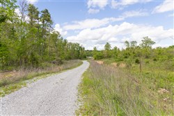 property photo for Sleepy Hollow Phase II Tract 103, 8.13 acres for sale in Texas County, Missouri