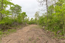 property photo for Sleepy Hollow Phase II Tract 108, 9.25 acres for sale in Texas County, Missouri