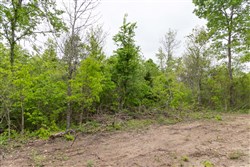 property photo for Sleepy Hollow Phase II Tract 108, 9.25 acres for sale in Texas County, Missouri