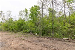 property photo for Sleepy Hollow Phase II Tract 108, 9.25 acres for sale in Texas County, Missouri