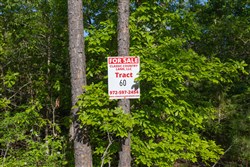 property photo for Sleepy Hollow Phase II Tract 60, 5.59 acres for sale in Texas County, Missouri