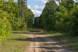 property photo for Sleepy Hollow Phase II Tract 60, 5.59 acres for sale in Texas County, Missouri