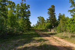 property photo for Sleepy Hollow Phase II Tract 60, 5.59 acres for sale in Texas County, Missouri