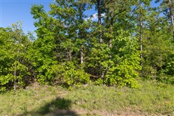 property photo for Sleepy Hollow Phase II Tract 60, 5.59 acres for sale in Texas County, Missouri