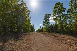 property photo for Sleepy Hollow Phase II Tract 62, 7.8 acres for sale in Texas County, Missouri