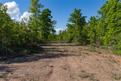 property photo for Sleepy Hollow Phase II Tract 62, 7.8 acres for sale in Texas County, Missouri