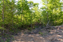 property photo for Sleepy Hollow Phase II Tract 62, 7.8 acres for sale in Texas County, Missouri
