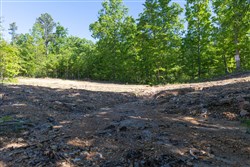 property photo for Sleepy Hollow Phase II Tract 62, 7.8 acres for sale in Texas County, Missouri