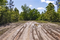 property photo for Sleepy Hollow Phase II Tract 64, 8.85 acres for sale in Texas County, Missouri