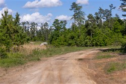 property photo for Sleepy Hollow Phase II Tract 64, 8.85 acres for sale in Texas County, Missouri