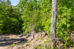 property photo for Sleepy Hollow Phase II Tract 65, 12.19 acres for sale in Texas County, Missouri