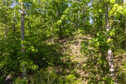 property photo for Sleepy Hollow Phase II Tract 65, 12.19 acres for sale in Texas County, Missouri