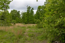 property photo for Sleepy Hollow Phase II Tract 66, 10.58 acres for sale in Texas County, Missouri