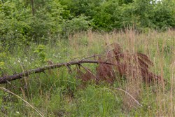 property photo for Sleepy Hollow Phase II Tract 66, 10.58 acres for sale in Texas County, Missouri
