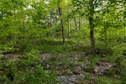 property photo for Sleepy Hollow Phase II Tract 66, 10.58 acres for sale in Texas County, Missouri