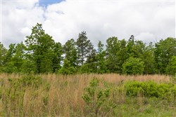 property photo for Sleepy Hollow Phase II Tract 66, 10.58 acres for sale in Texas County, Missouri