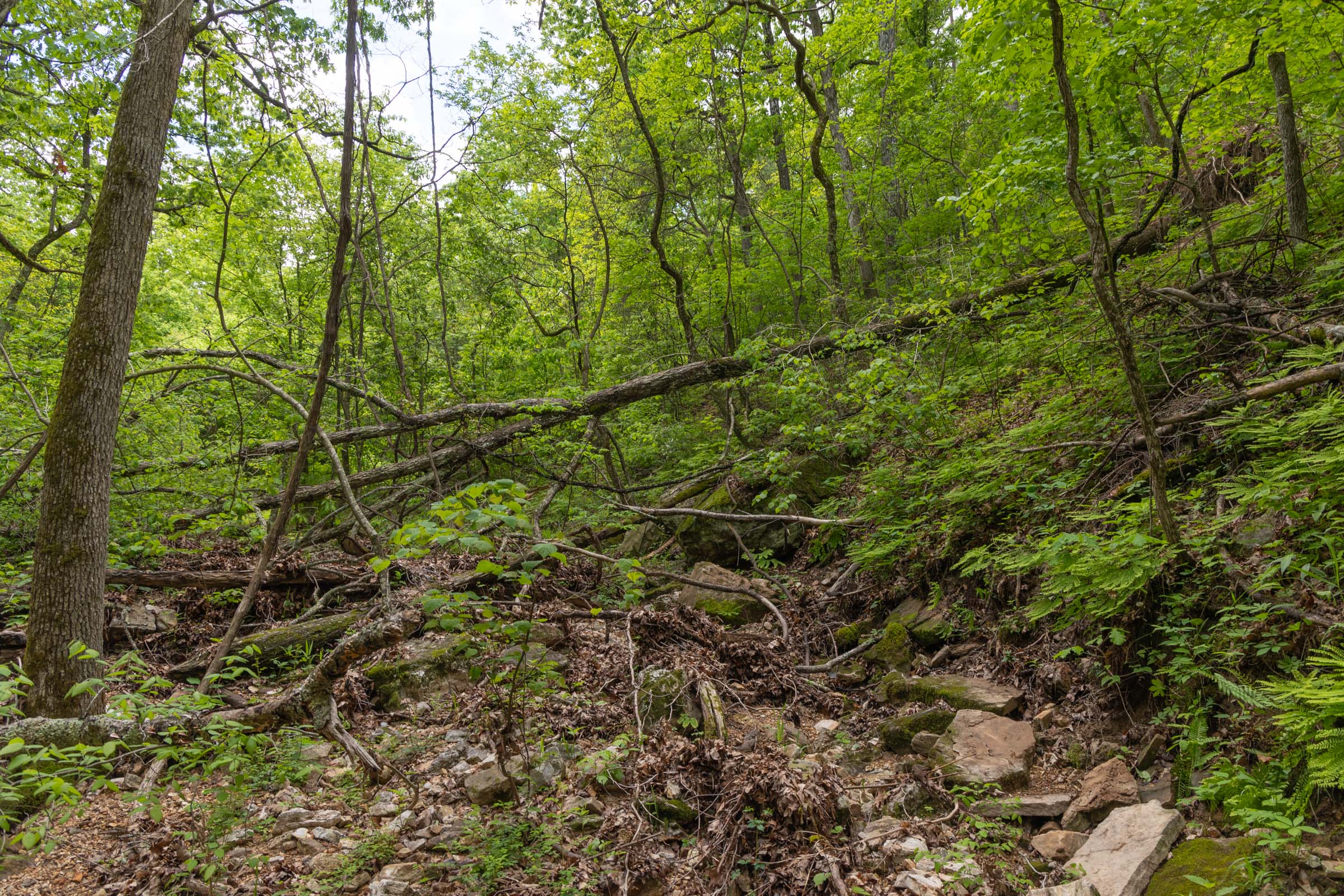 Tract 69 at Sleepy Hollow Phase II in Texas County, Missouri