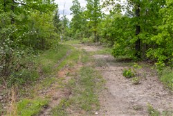 property photo for Sleepy Hollow Phase II Tract 76, 9.83 acres for sale in Texas County, Missouri