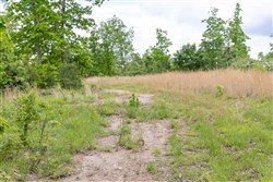 property photo for Sleepy Hollow Phase II Tract 76, 9.83 acres for sale in Texas County, Missouri