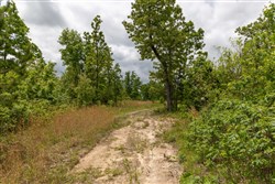 property photo for Sleepy Hollow Phase II Tract 77, 5.2 acres for sale in Texas County, Missouri