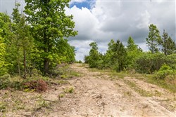 property photo for Sleepy Hollow Phase II Tract 78, 5.35 acres for sale in Texas County, Missouri