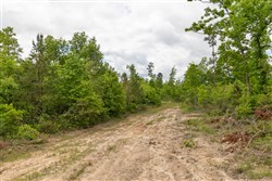 property photo for Sleepy Hollow Phase II Tract 78, 5.35 acres for sale in Texas County, Missouri