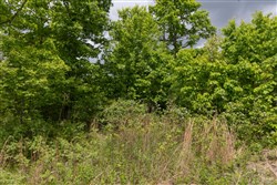 property photo for Sleepy Hollow Phase II Tract 78, 5.35 acres for sale in Texas County, Missouri