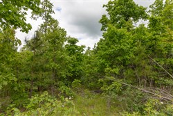 property photo for Sleepy Hollow Phase II Tract 78, 5.35 acres for sale in Texas County, Missouri