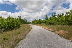 property photo for Sleepy Hollow Phase II Tract 85, 9.75 acres for sale in Texas County, Missouri