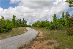 property photo for Sleepy Hollow Phase II Tract 85, 9.75 acres for sale in Texas County, Missouri