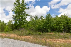 property photo for Sleepy Hollow Phase II Tract 85, 9.75 acres for sale in Texas County, Missouri