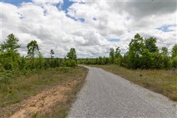 property photo for Sleepy Hollow Phase II Tract 85, 9.75 acres for sale in Texas County, Missouri
